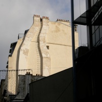 Tracing the tracks of Paris chimneys