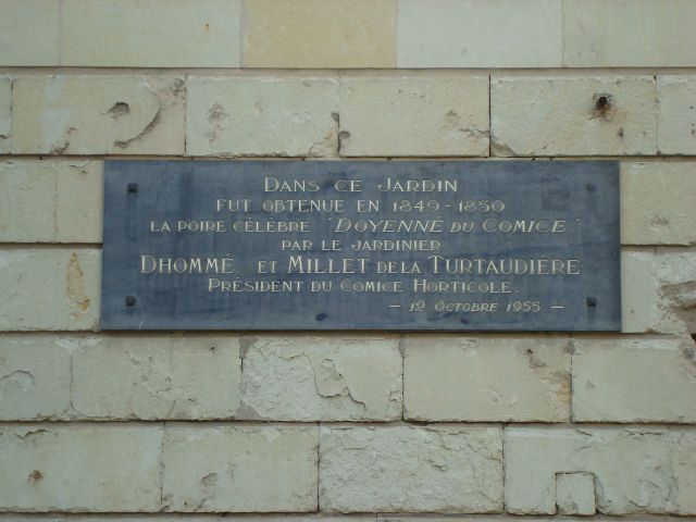 1280px-plaque_commemorative_doyenne_du_comice